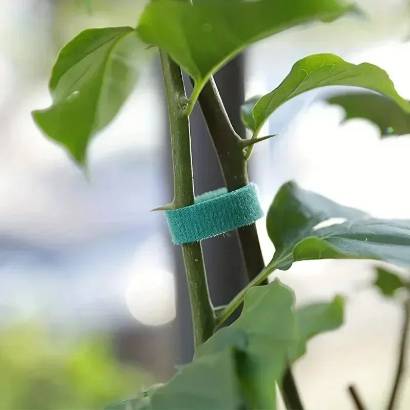 Nylon Self Adhesive Plant Tie Strips For Garden Support